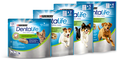 Linia produktów Dentalife