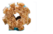 Wysokość 19mm