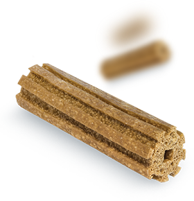 Pałeczki Dentalife